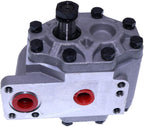 Hydraulic Gear Pump 308873A1 for Case CX50 CX60 C80 CX70 CX80 C100 CX90 CX100