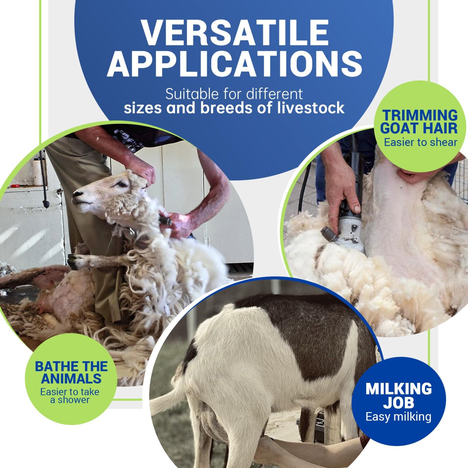 51"x23" Goat Milk Livestock Stand Husbandry Trimming Adjustable Height 19"-33"
