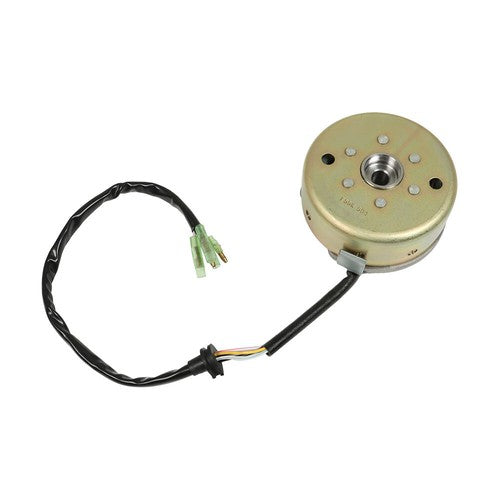 2XJ-85560-M1-00 Flywheel +Stator Magneto For 1990-2006 Yamaha Blaster 200 YFS200