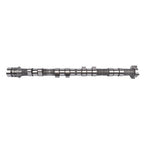 Engine Exhaust Camshaft for Buick Regal Chevy Equinox GMC Terrain Pontiac Saturn