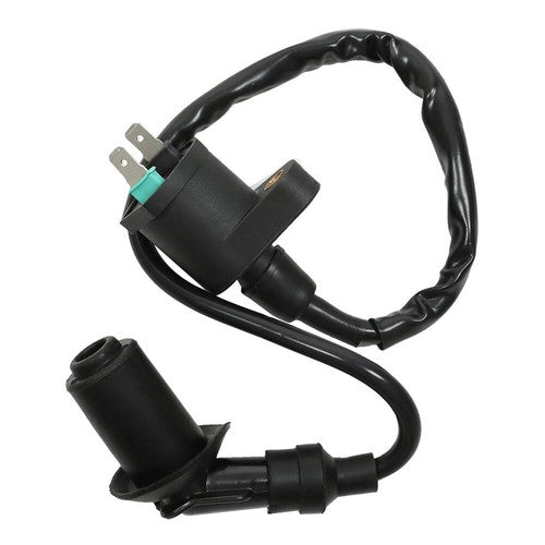 Stator Ignition Coil Spark Plug For Honda 31120-GW8-671 XR50R 00-03 XR70R 97-03