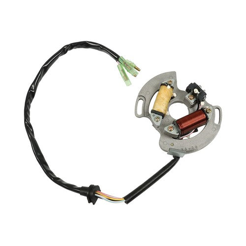 2XJ-85560-M1-00 Flywheel +Stator Magneto For 1990-2006 Yamaha Blaster 200 YFS200