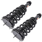 2× Front Shock Strut Assy 103060701C For Tesla Model S AWD 100D P100D 2015-2019