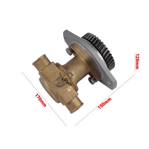 For M71 M70 Cummins 4B Engines Diesel Raw Water Pump Replaces 3907458 3912019