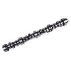 Camshaft 12625437 for Chevy Colorado Express 1500 2500 3500 4.8L 5.3L 2008-2017