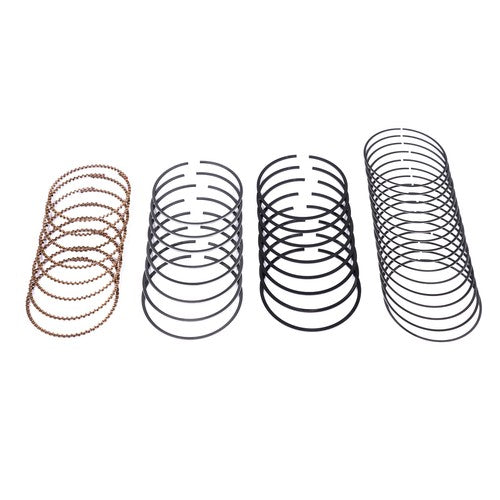 Piston Rings 41859CP for Buick Rainier LaCrosse Cadillac Escalade 5.3L 2002-2009