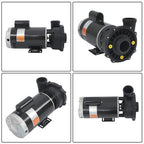 3722021-1D Spa Pump 5.0HP 230V 2" Discharge 2-Speed 56Y-Frame Hot Tubs Black