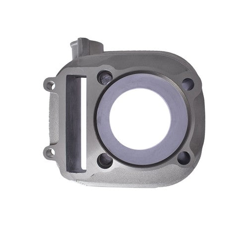 Cylinder Piston Gasket Top End Kit For Yamaha Timberwolf 250 YFM250 1989-2000 US