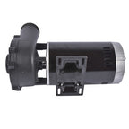 4 HP 56Y Frame 230 Volt Dual-Speed Swimming Hot Tub & Spa Pump For 3711621-1D