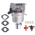 407577 Carburetor Kit For Briggs & Stratton Engine Tractor 406577 699807