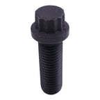 205584 Twelve Point Cap Screw