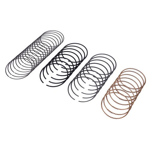 Piston Rings 41859CP for Buick Rainier LaCrosse Cadillac Escalade 5.3L 2002-2009