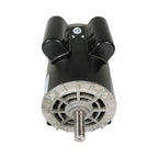 5 HP Compressor Duty Electric Motor 1 Phase 3450 RPM 56HZ Frame 7/8" Shaft 230V