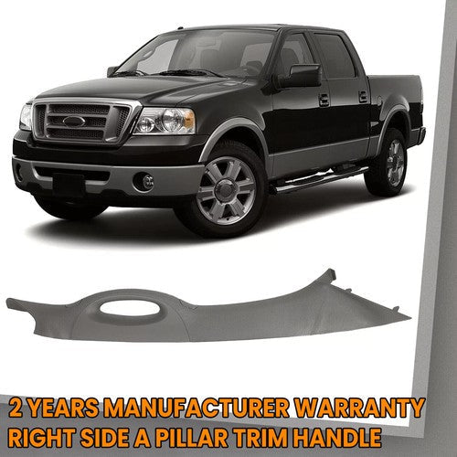 Gray Passenger Side Front A Pillar Trim Handle for 2004-2008 Ford F150 F-150