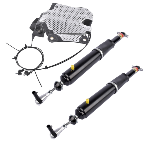 Rear Air Shock Absorbers + Compressor For Buick Lucerne Cadillac DTS 2006-2011