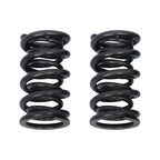 Fit For 4.8/5.3/6.0/LS1/LS2/LS3 Engines Professional Dual Valve Spring Kit