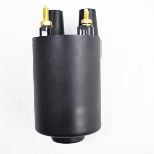 For Onan 166-0535 166-0543 166-0648 166-0772 HE166-0761 Ignition Coil Kit