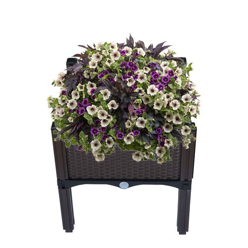 Raised Garden Bed Outdoor Elevated Planter Box Herbs Flowers Plants Vegetables