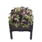 Raised Garden Bed Outdoor Elevated Planter Box Herbs Flowers Plants Vegetables