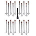 Head Bolt Set for Cadillac Escalade Chevy Silverado GMC Sierra 1500 6.2L 14-15