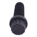 205584 Twelve Point Cap Screw