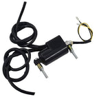 Fit For Honda Kawasaki Yamaha Suzuki CB KZ XS GS 12V Dual Wire Ignition Coil