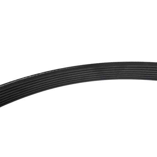 Drive Belt w/ Tensioner Pulley for Nissan Maxima Murano 3.5L 09-14 11955JA10C