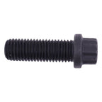 205584 Twelve Point Cap Screw