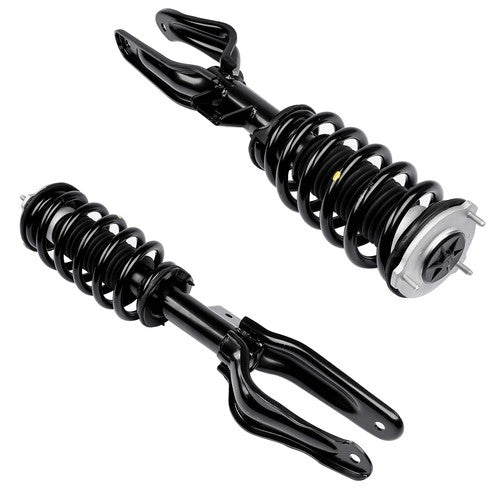 2x Shock Strut Assembly Front Left and Right for Tesla Model 3 M3 AWD 2017-2021