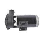 4 HP 230V 2-Speed Executive 56 Frame Spa Pump Black Side Discharge 3721621-13