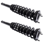 2× Coil Spring Shock Strut Rear Left & Right for Tesla Model S 85D 2011-2016 RWD