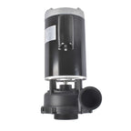 4 HP 230V 2-Speed Executive 56 Frame Spa Pump Black Side Discharge 3721621-13