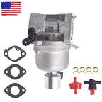 407577 Carburetor Kit For Briggs & Stratton Engine Tractor 406577 699807