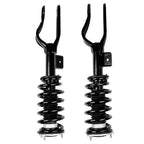 2x Shock Strut Assembly Front Left and Right for Tesla Model 3 M3 AWD 2017-2021
