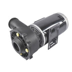 4 HP 230V 2-Speed Executive 56 Frame Spa Pump Black Side Discharge 3721621-13