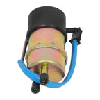 Fuel Pump And Filter For Honda VT1100C2 Shadow Sabre 1100 2000-2007 US