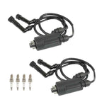Ignition Coil & Plug W/ Cap For Honda Goldwing 1200 GL1200 1100 GL1100