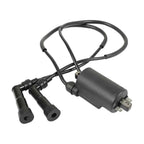 Ignition Coil & Plug W/ Cap For Honda Goldwing 1200 GL1200 1100 GL1100