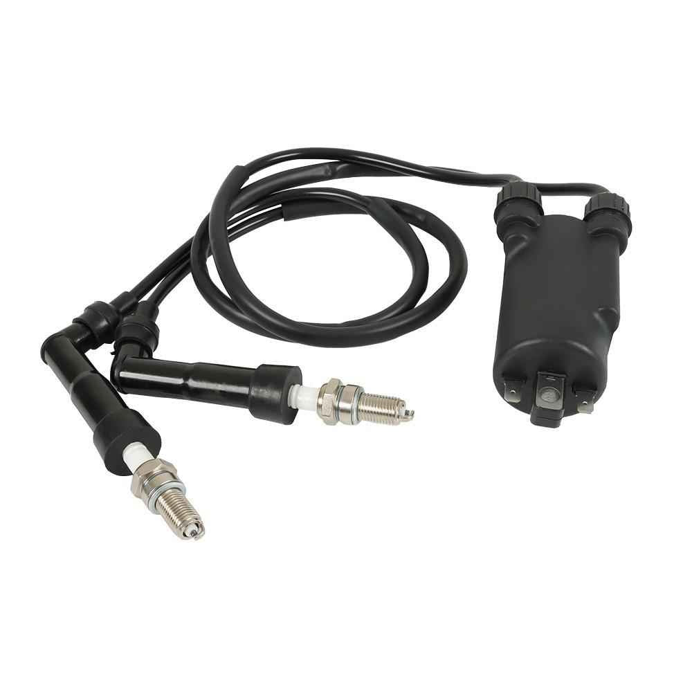 Ignition Coil & Plug W/ Cap For Honda Goldwing 1200 GL1200 1100 GL1100