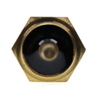 Water Temperature Sensor 171056-49351 for Yanmar 3TNE84 4TNV88 Engine ViO20-4