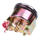 Oil Pressure Gauge 100 PSI 05703115 20P-100 For Murphy 20P-100