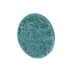 50PCS 2 inch Fine Surface Conditioning Discs Roll Lock Die Grinder Sanding Pads