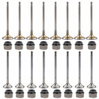 Engine Intake Valves & Exhaust Valves Kit Fit For Audi VW 2.0T (FSI, TSI) *16