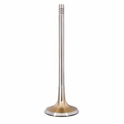 Engine Intake Valves & Exhaust Valves Kit Fit For Audi VW 2.0T (FSI, TSI) *16