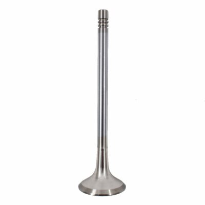 Engine Intake Valves & Exhaust Valves Kit Fit For Audi VW 2.0T (FSI, TSI) *16