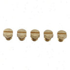 904 112HP Bleeder Screw for Silverado 2500HD 2WD 2001 2009 for GMC C4500