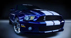 10 Inch Vinyl Rally Stripes Racing Stripe Kit Hood Trunk Roof for Pontiac Vibe