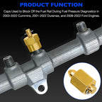 10810 Injector Rail Fuel Line Cap Set Block Off Cap 5 Pieces