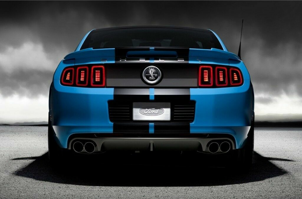 10 Inch Black Carbon Fiber Vinyl Rally Stripes Racing Stripe for Ford Mustang Cobra
