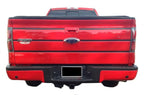 Tailgate Trim Stripe Kit for Ford F150 2009 2010 2011 2012 2013 2014 Many Color Choices